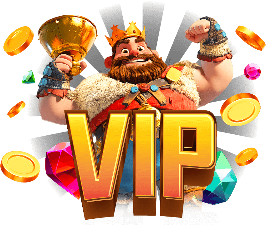 vip program